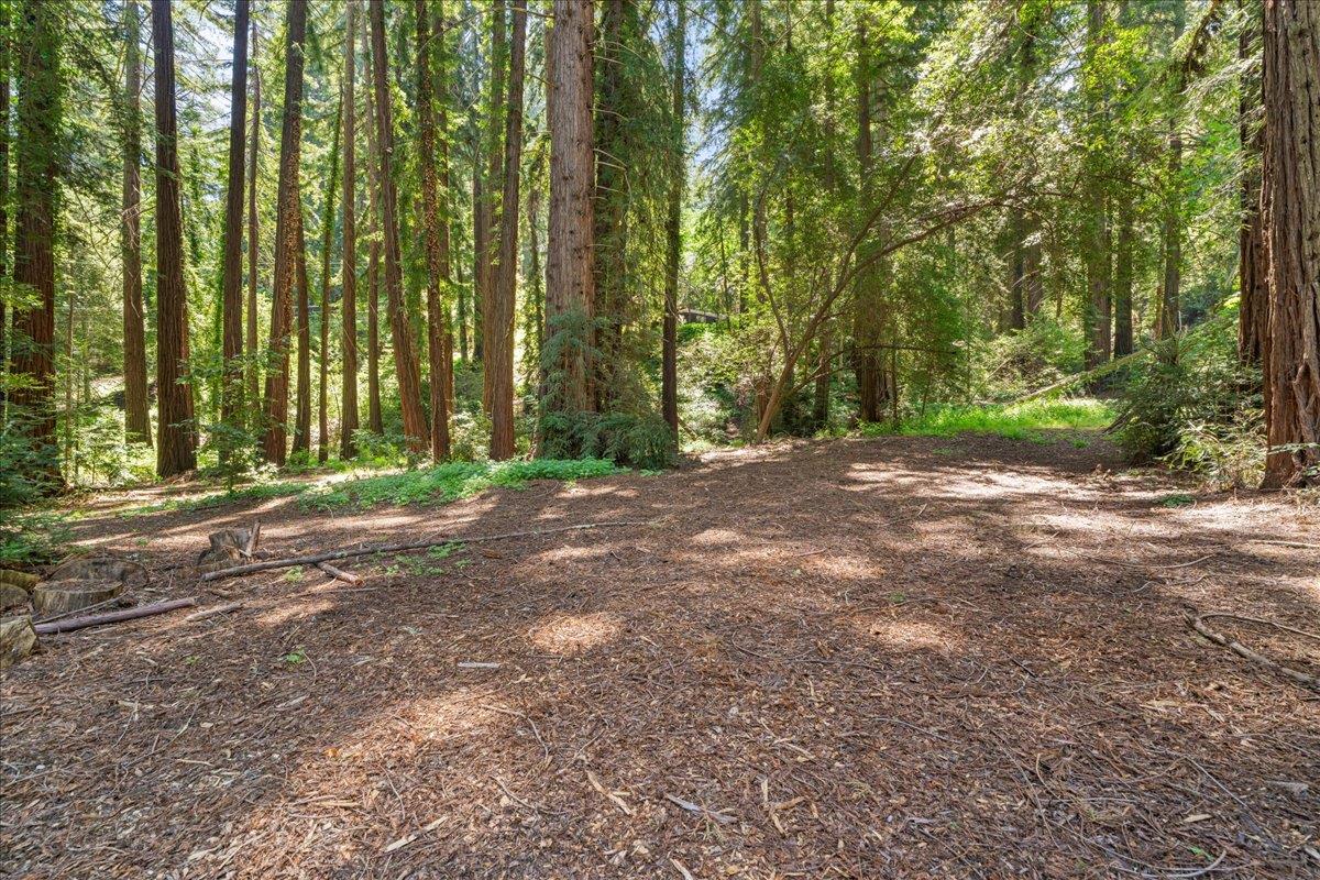 0 Grove Street Los Gatos, CA 95033 - Photo 7 of 15 a view of a yard with large trees