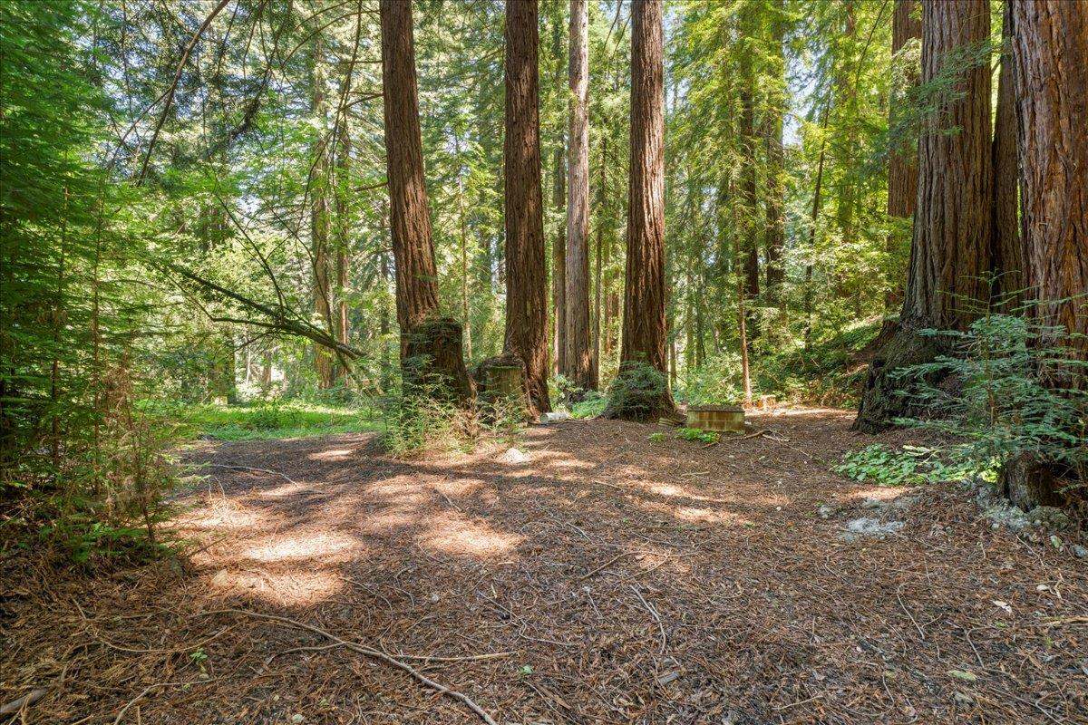 0 Grove Street Los Gatos, CA 95033 - Photo 10 of 15 a view of backyard with green space