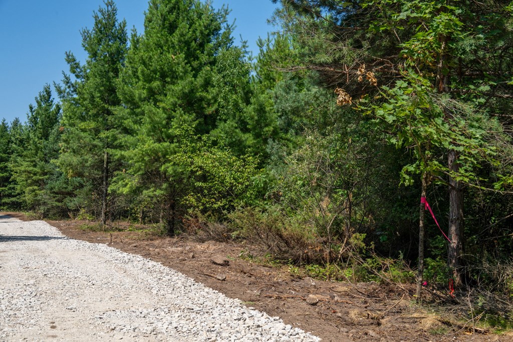 Lot 2 Scandia Road Sister Bay, WI 54234 - Photo 6 of 17