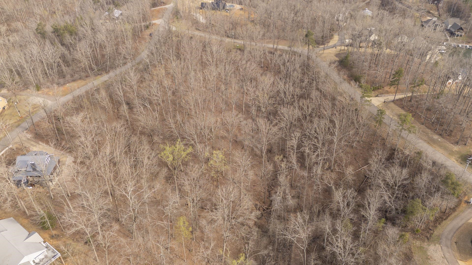 0 Quarry Holw Point Savannah, TN 38372 - Photo 11 of 34 a view of a dry yard