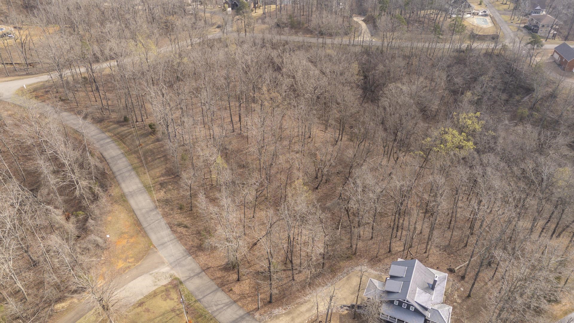 0 Quarry Holw Point Savannah, TN 38372 - Photo 15 of 34 a view of a yard