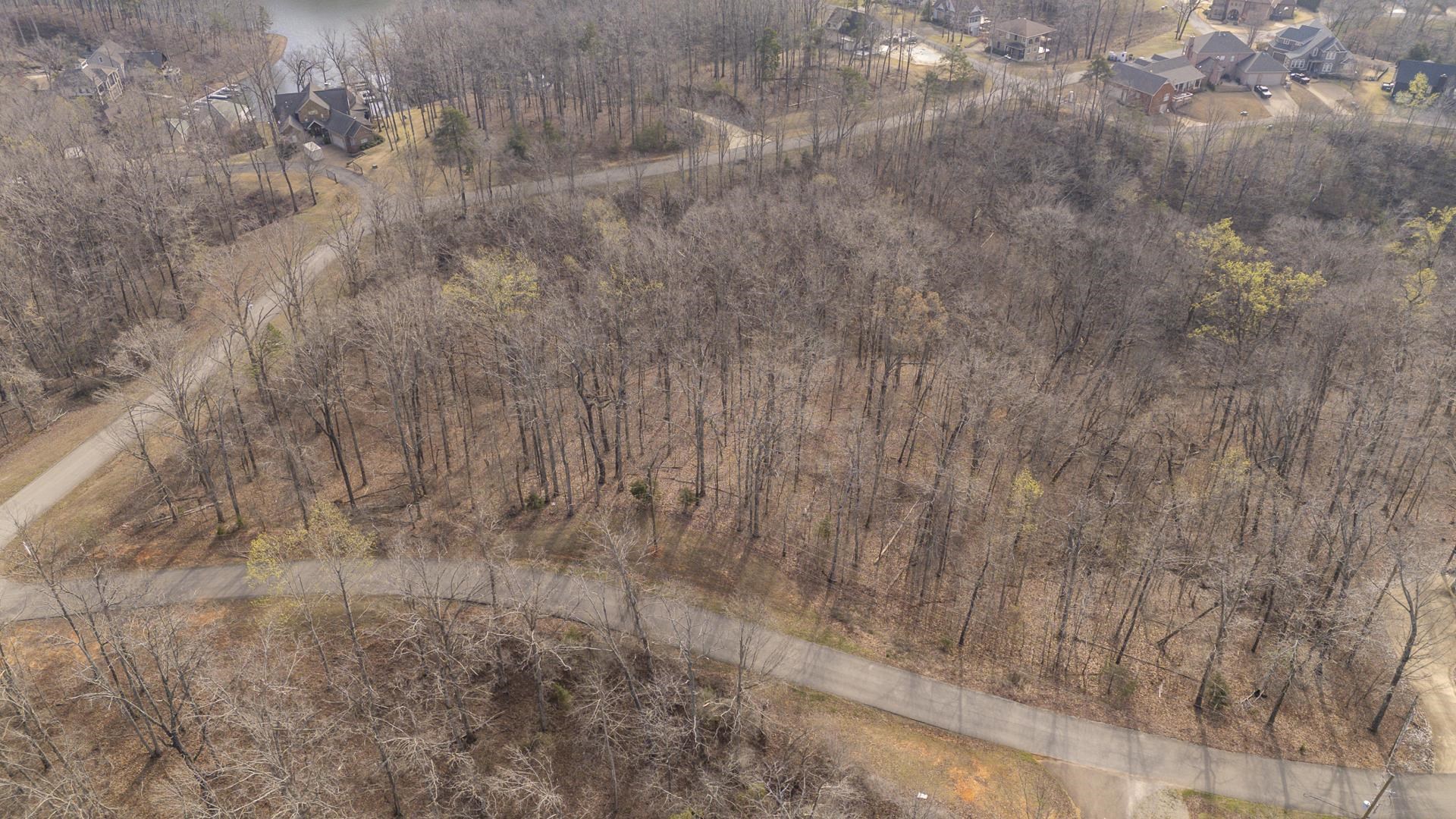 0 Quarry Holw Point Savannah, TN 38372 - Photo 16 of 34 a view of a dry yard