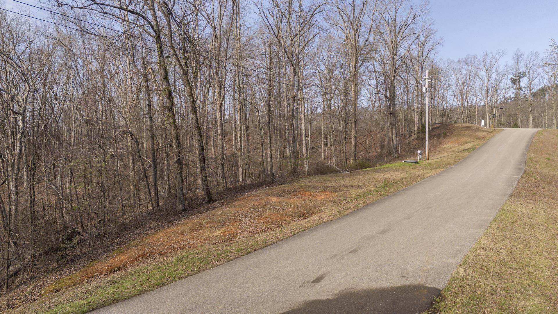 0 Quarry Holw Point Savannah, TN 38372 - Photo 18 of 34 a view of a backyard