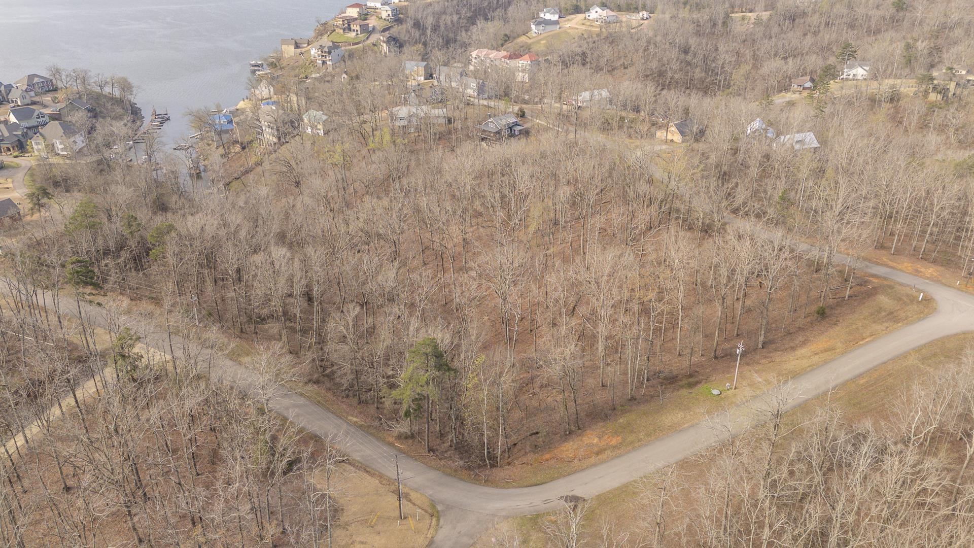 0 Quarry Holw Point Savannah, TN 38372 - Photo 2 of 34