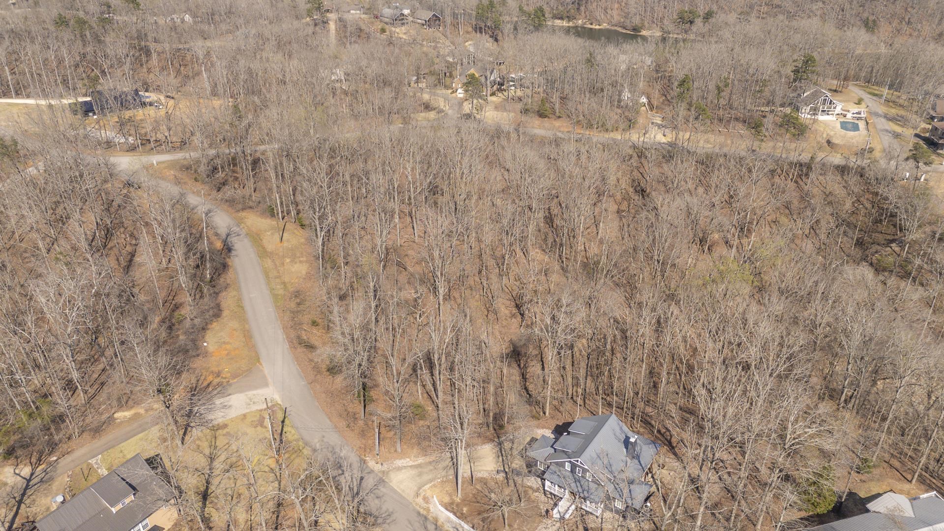 0 Quarry Holw Point Savannah, TN 38372 - Photo 21 of 34