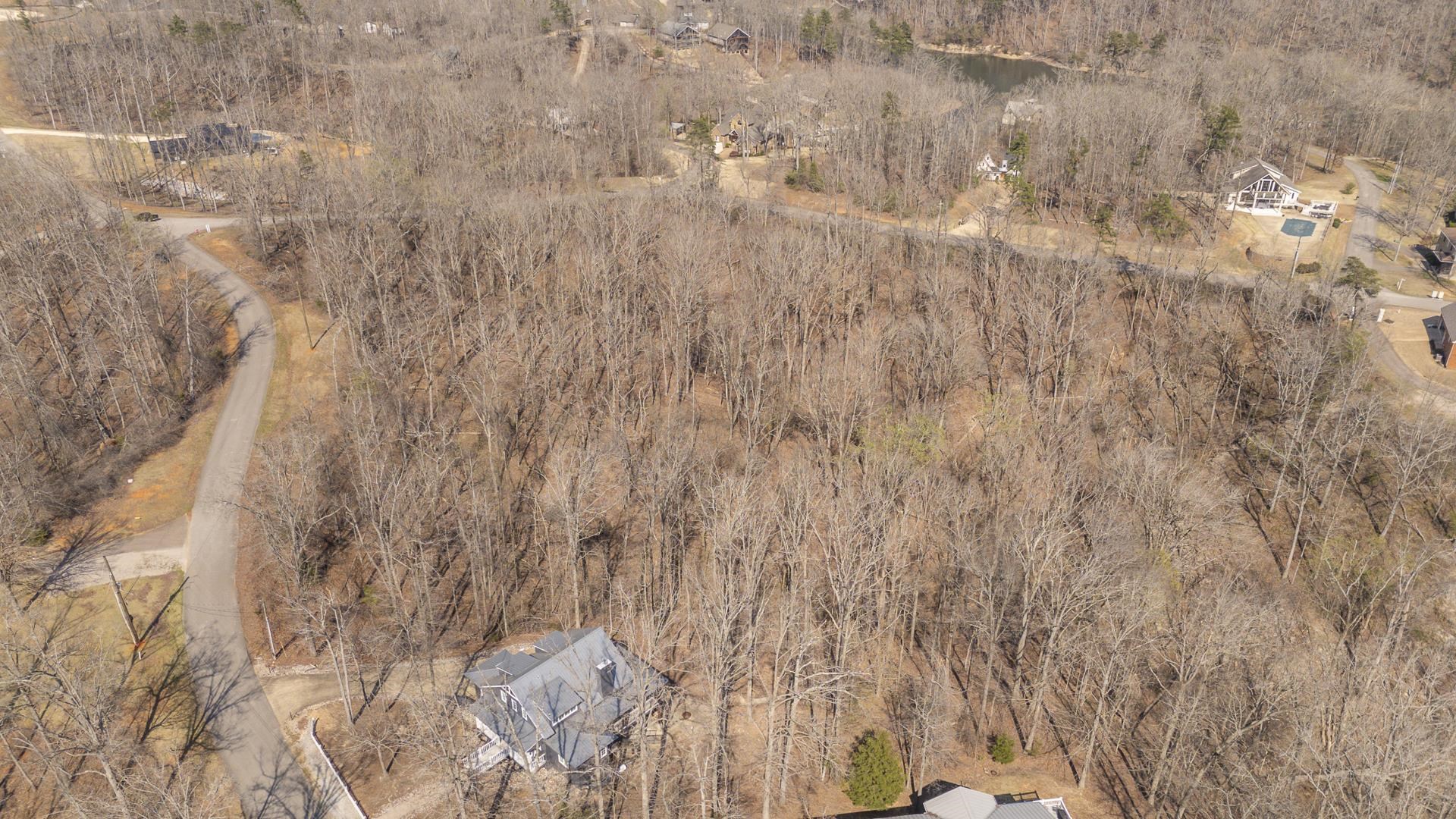 0 Quarry Holw Point Savannah, TN 38372 - Photo 22 of 34 a view of a yard with pathway