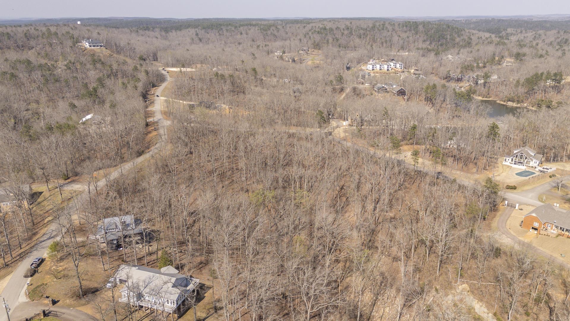 0 Quarry Holw Point Savannah, TN 38372 - Photo 24 of 34 a view of a dry yard