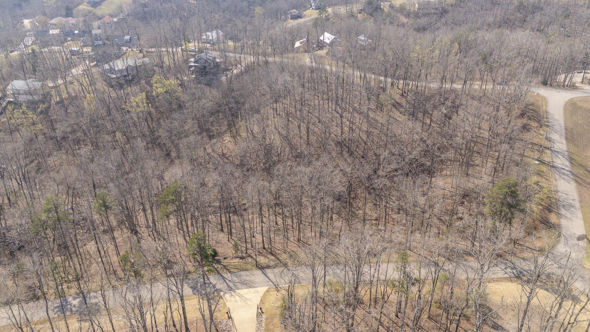 0 Quarry Holw Point Savannah, TN 38372 - Photo 32 of 34