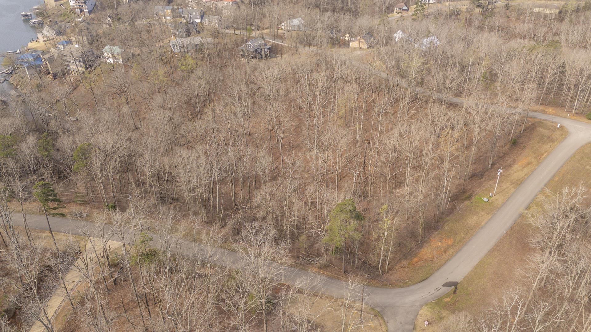 0 Quarry Holw Point Savannah, TN 38372 - Photo 4 of 34 a view of a dry yard