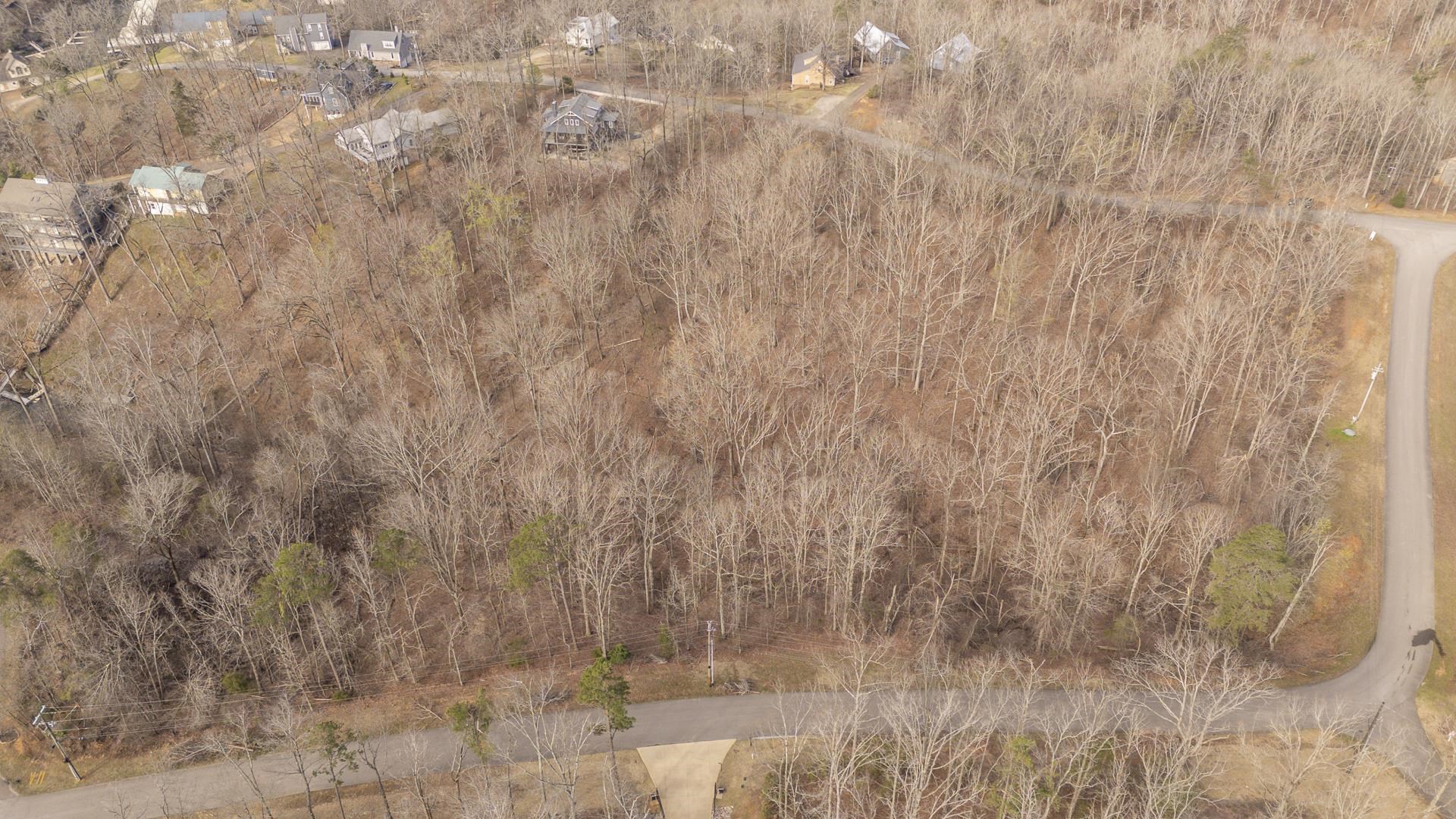 0 Quarry Holw Point Savannah, TN 38372 - Photo 5 of 34 a view of a dry yard