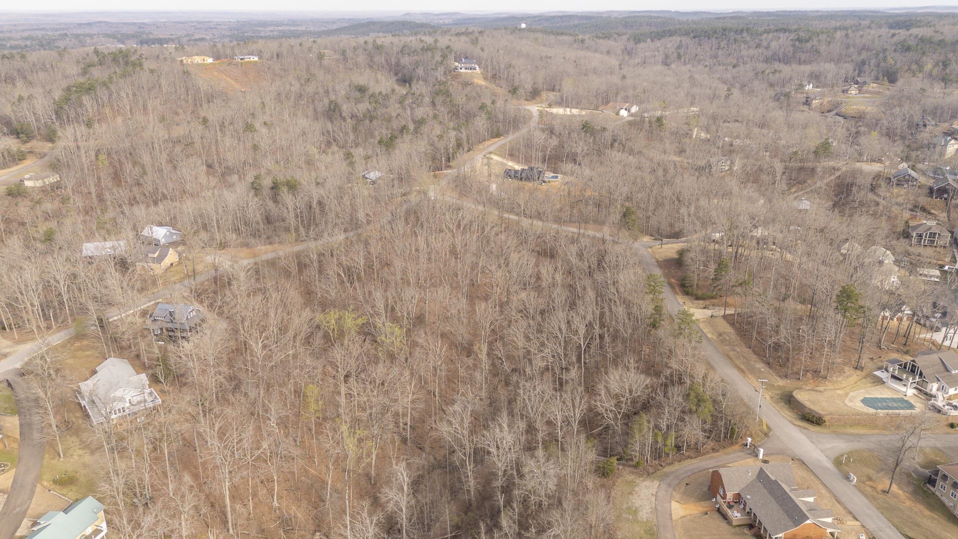 0 Quarry Holw Point Savannah, TN 38372 - Photo 9 of 34