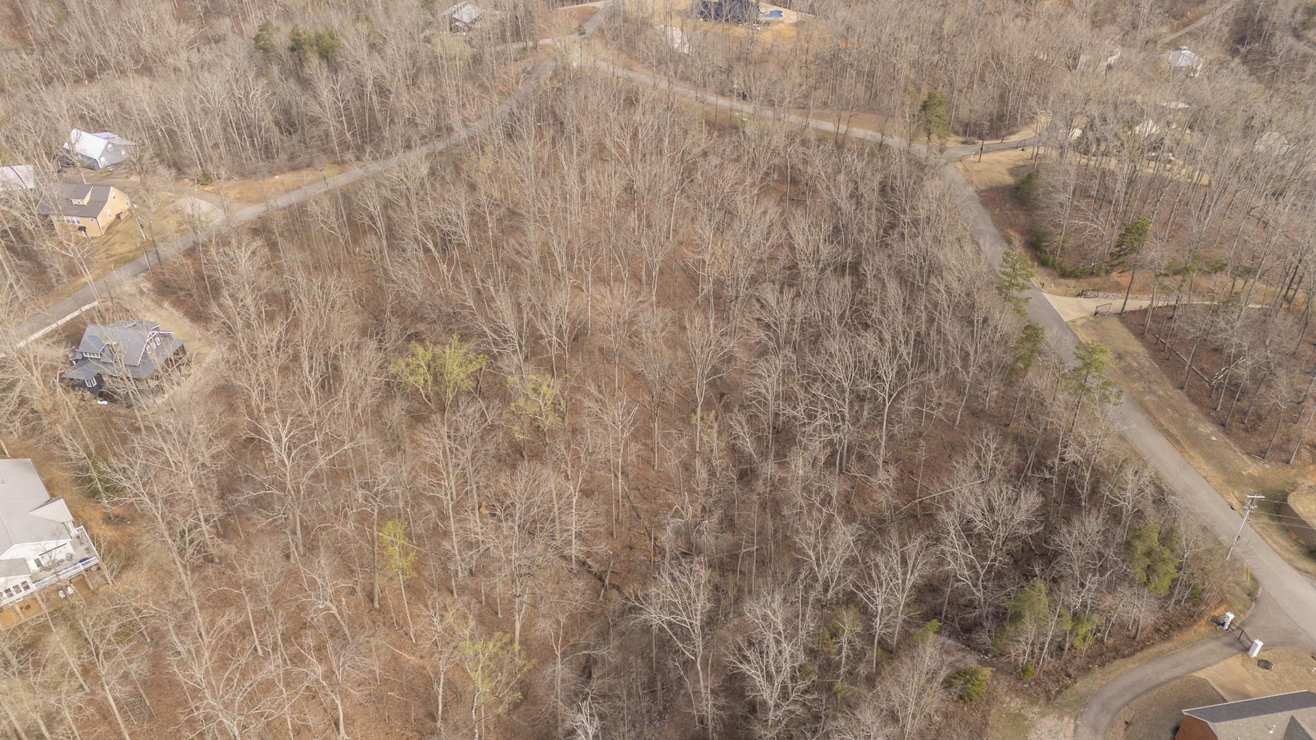0 Quarry Holw Point Savannah, TN 38372 - Photo 10 of 34 a close view of tap