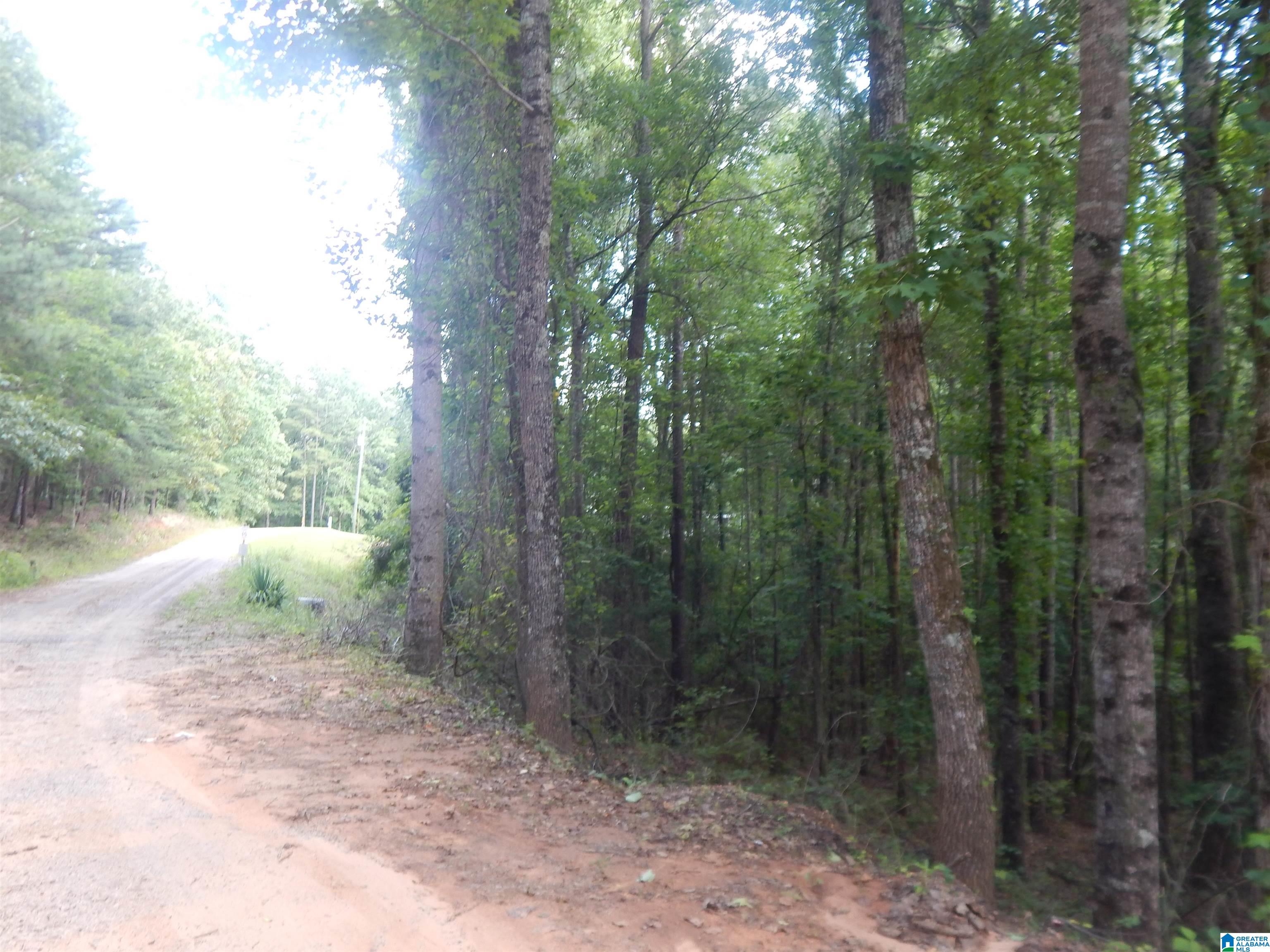 474 Caffee Creek Road Woodstock, AL 35188 - Photo 20 of 21