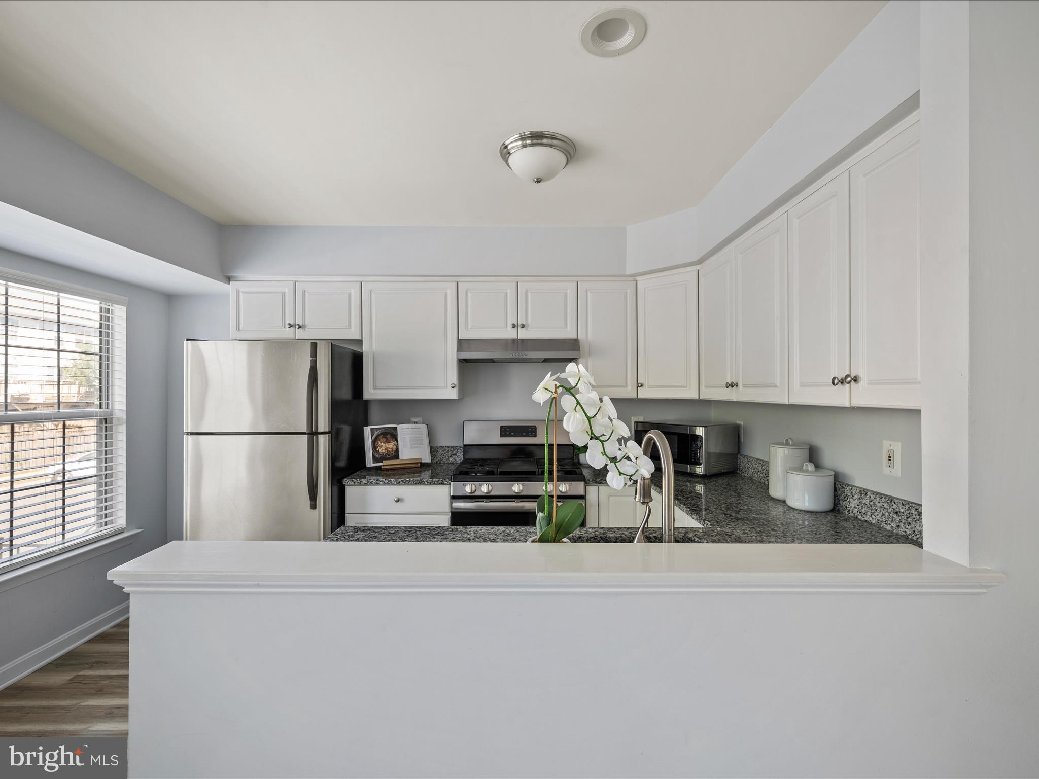 20198 Brookview Square Ashburn, VA 20147 - Photo 18 of 61 a kitchen with refrigerator a stove a sink and cabinets