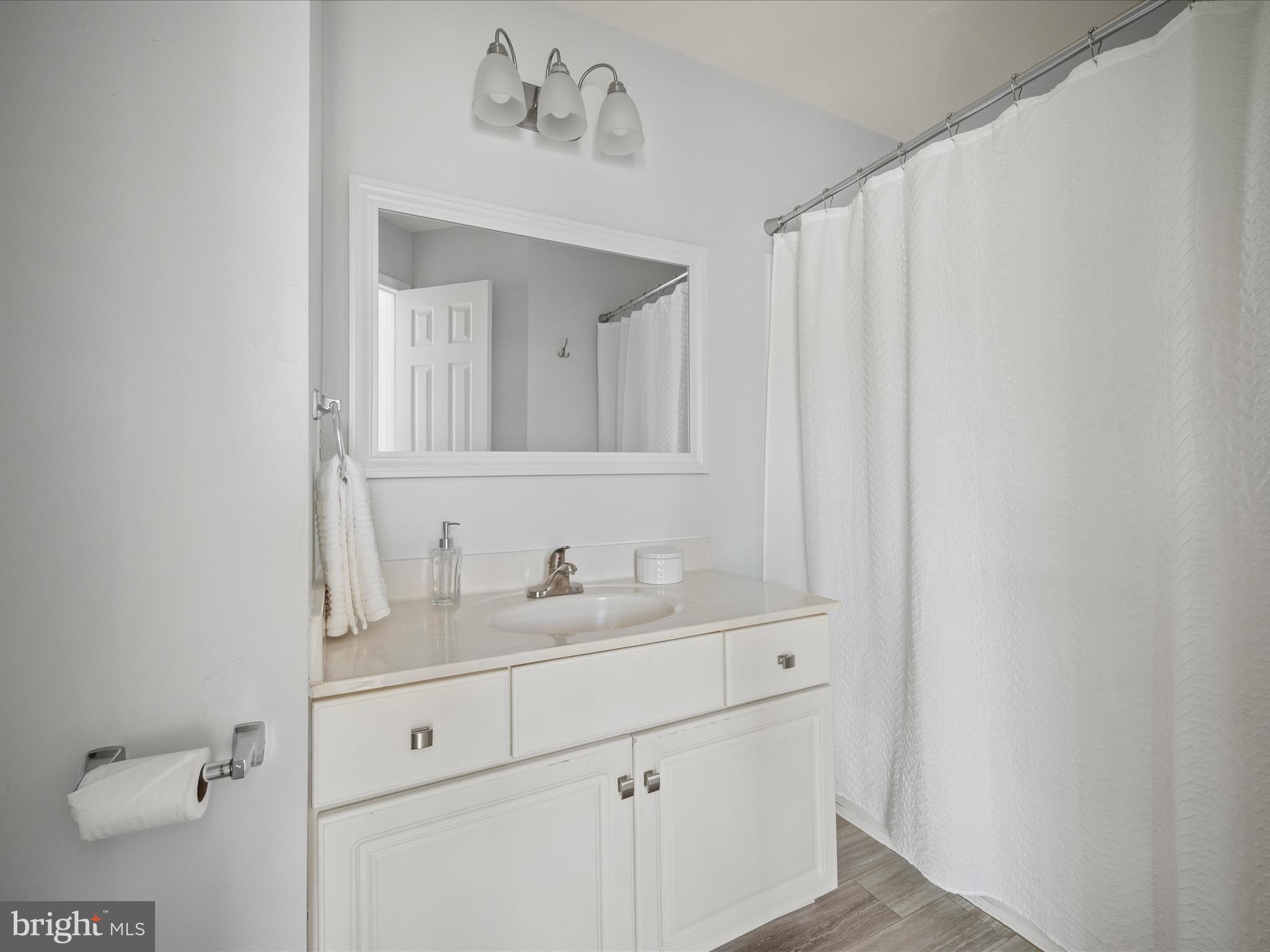 20198 Brookview Square Ashburn, VA 20147 - Photo 28 of 61 a bathroom with a sink and a mirror