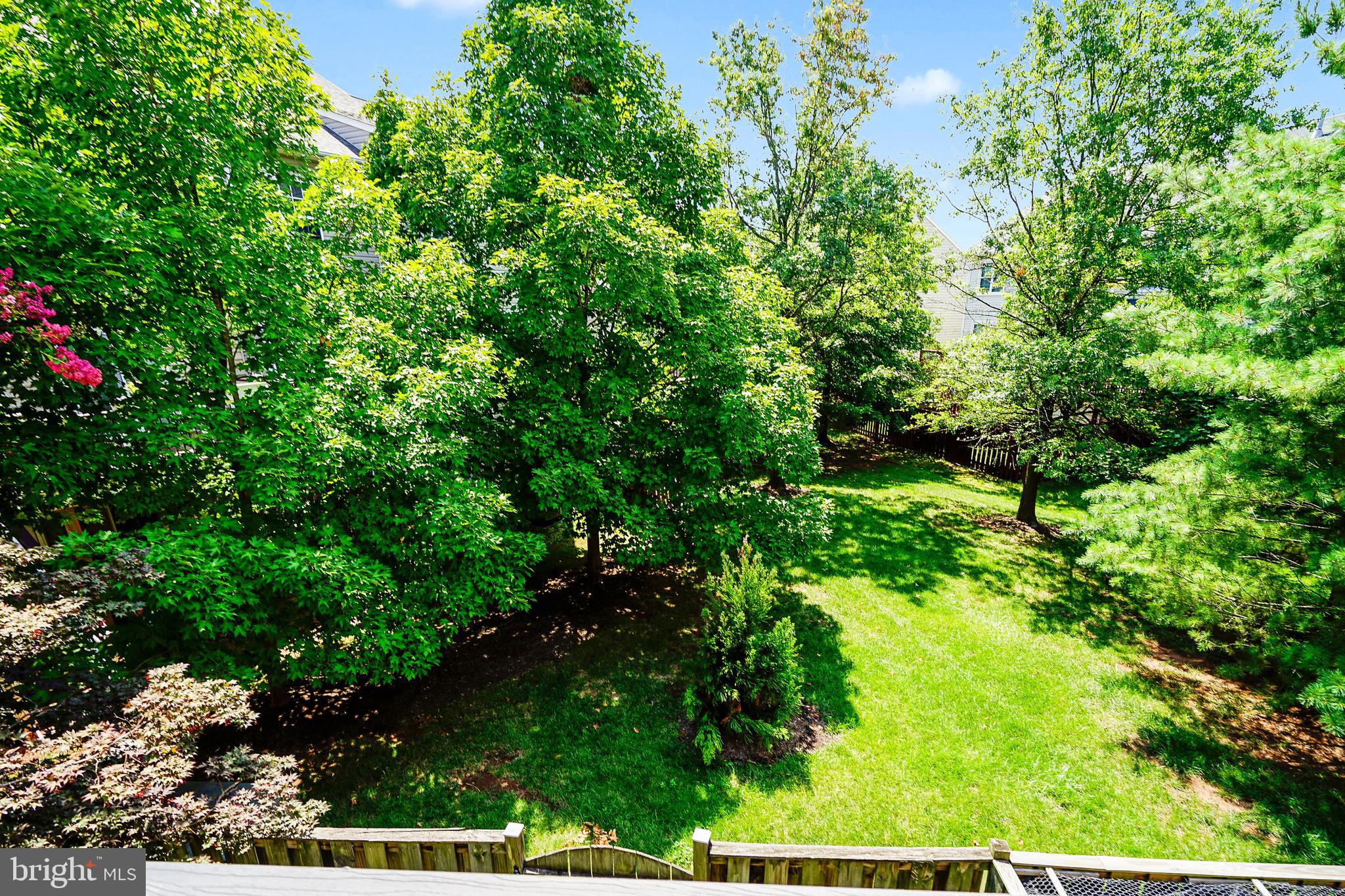 20198 Brookview Square Ashburn, VA 20147 - Photo 53 of 61 a view of a garden