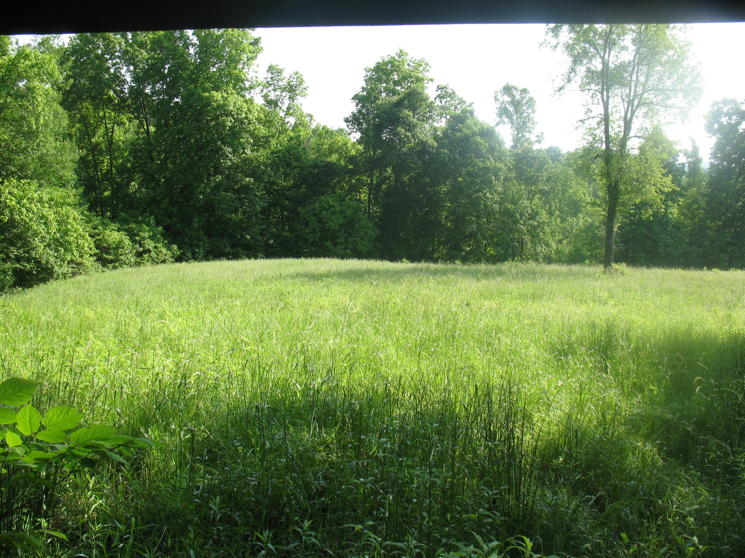 9999 Rudder Lane London, KY 40741 - Photo 25 of 33 IMG_4325