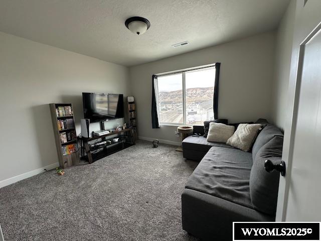 1405 Louise Rock Springs Rock Springs, WY 82901 - Photo 24 of 40