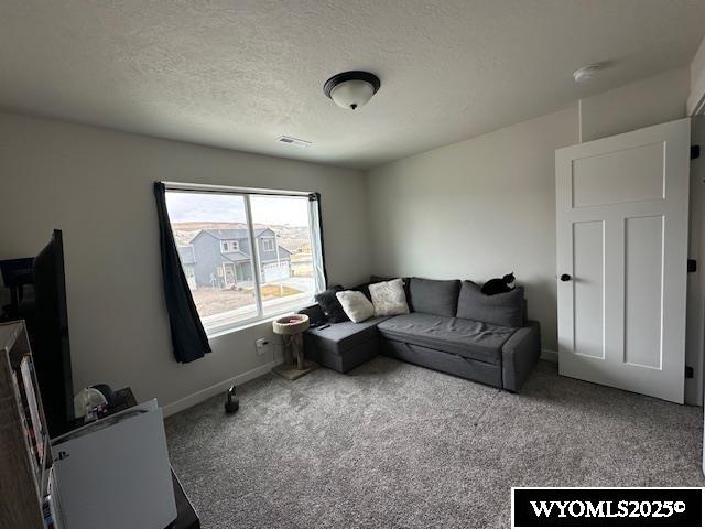 1405 Louise Rock Springs Rock Springs, WY 82901 - Photo 26 of 40