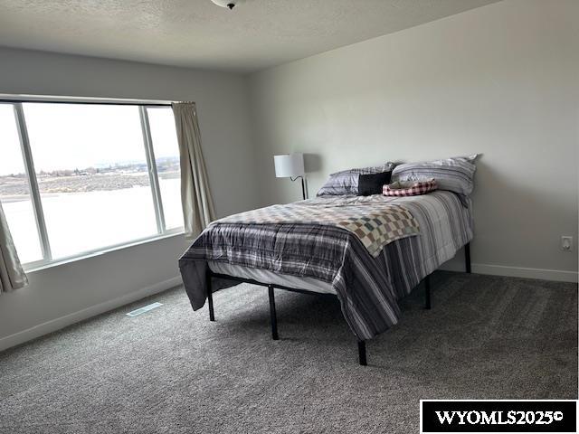 1405 Louise Rock Springs Rock Springs, WY 82901 - Photo 9 of 40