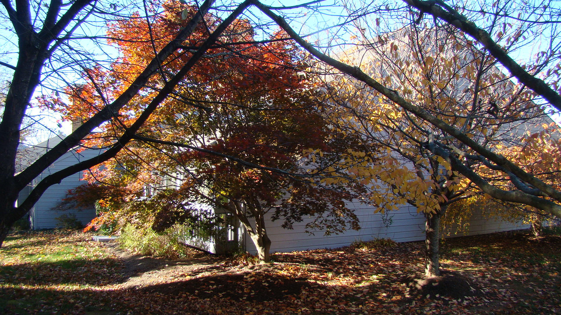2529 South Clearing Road Salem, VA 24153 - Photo 30 of 34 Side View