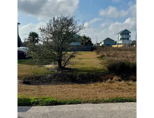 a view of a yard