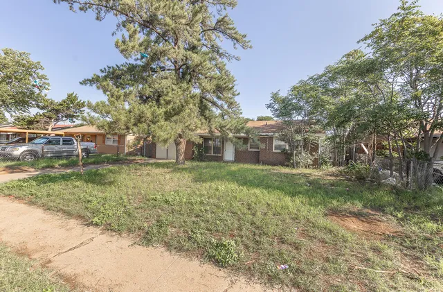 a view of a yard with plants and trees
