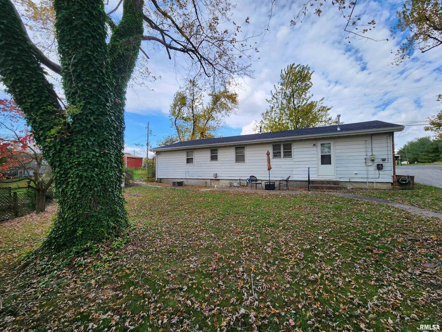 355 Chestnut Street Alto Pass, IL 62905 - Photo 22 of 26 a front view of house with yard and trees