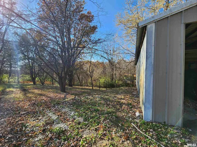 a view of a yard with plants and trees