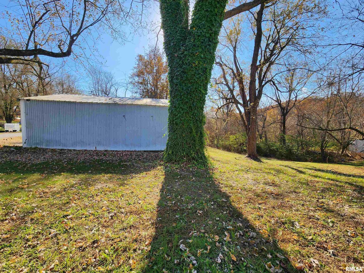 355 Chestnut Street Alto Pass, IL 62905 - Photo 26 of 26 a view of swimming pool with yard