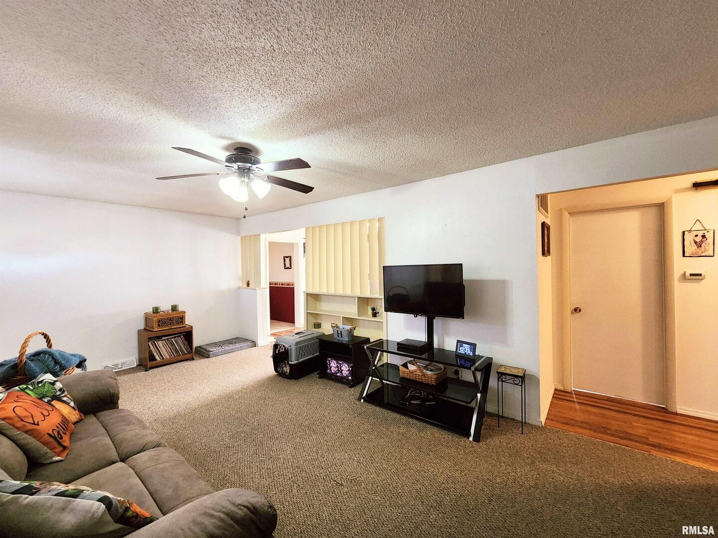 355 Chestnut Street Alto Pass, IL 62905 - Photo 7 of 26 a living room with furniture and a flat screen tv