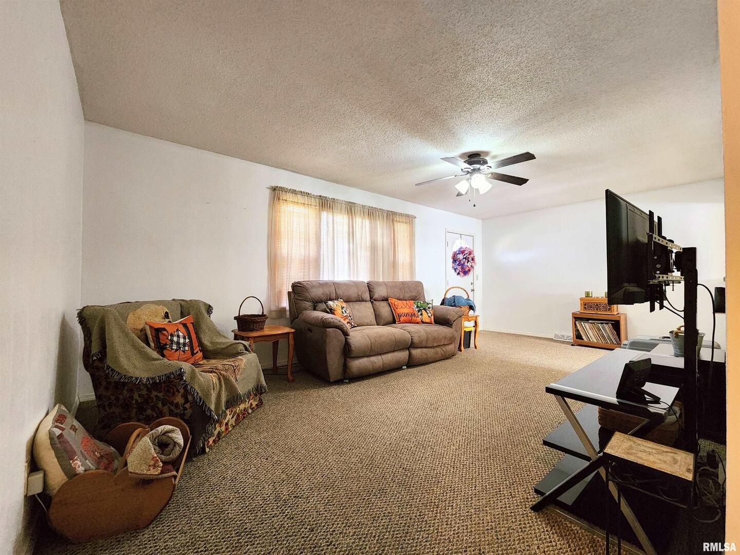 355 Chestnut Street Alto Pass, IL 62905 - Photo 8 of 26 a living room with furniture and a flat screen tv