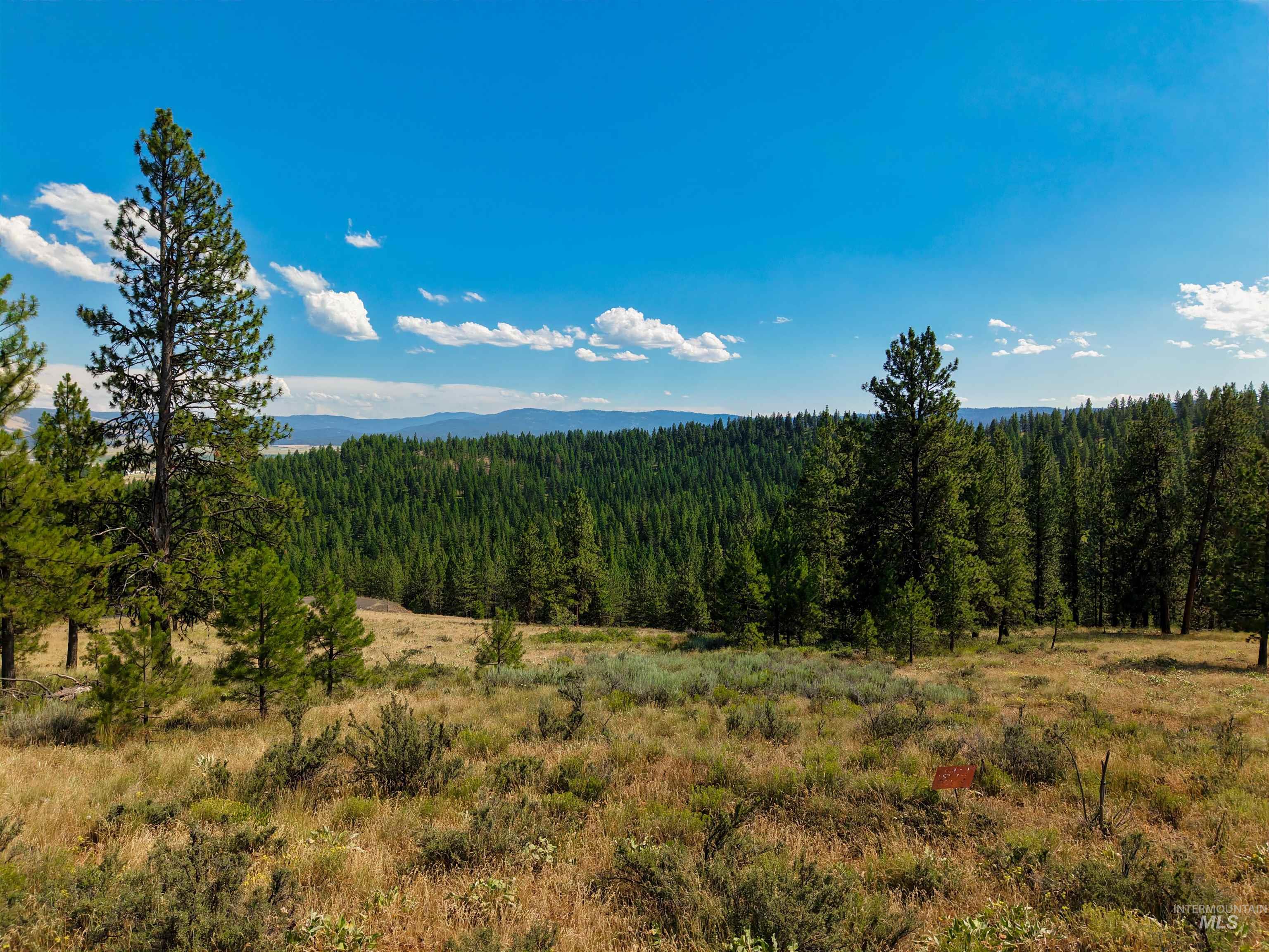 Tbd Tbd Eagle Feather Road New Meadows, ID 83654 - Photo 16 of 21 Gallery Image 16