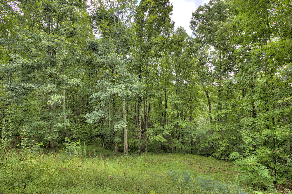4111 Hillcrest Road Sevierville, TN 37862 - Photo 29 of 32 4111 Hillcrest Rd Sevierville, TN 37862-