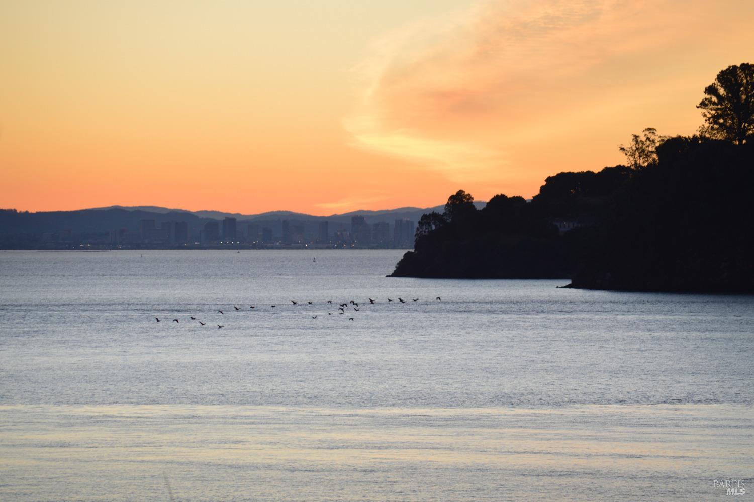 a view of a dry yard