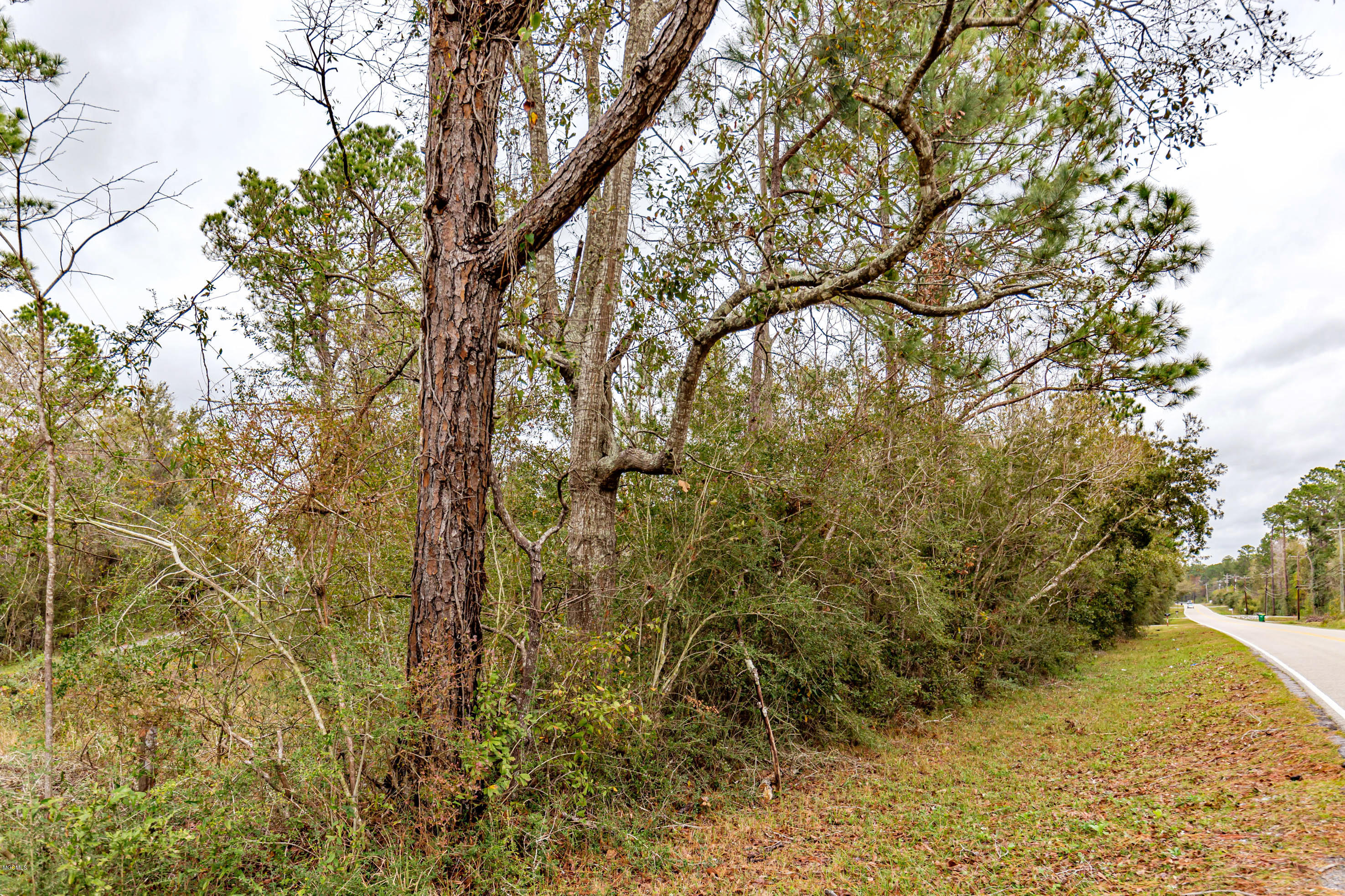 7900 Ocean Springs Road Ocean Springs, MS 39564 - Photo 53 of 64 IMG_3075