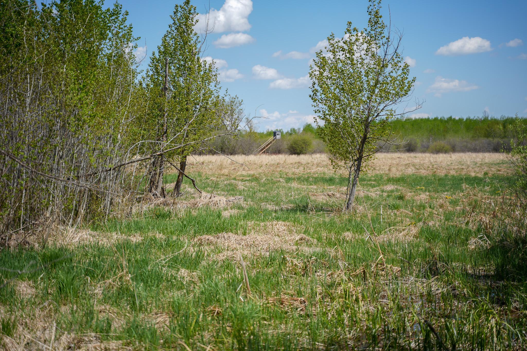 Tbd 140 Street Frazee, MN 56544 - Photo 91 of 149
