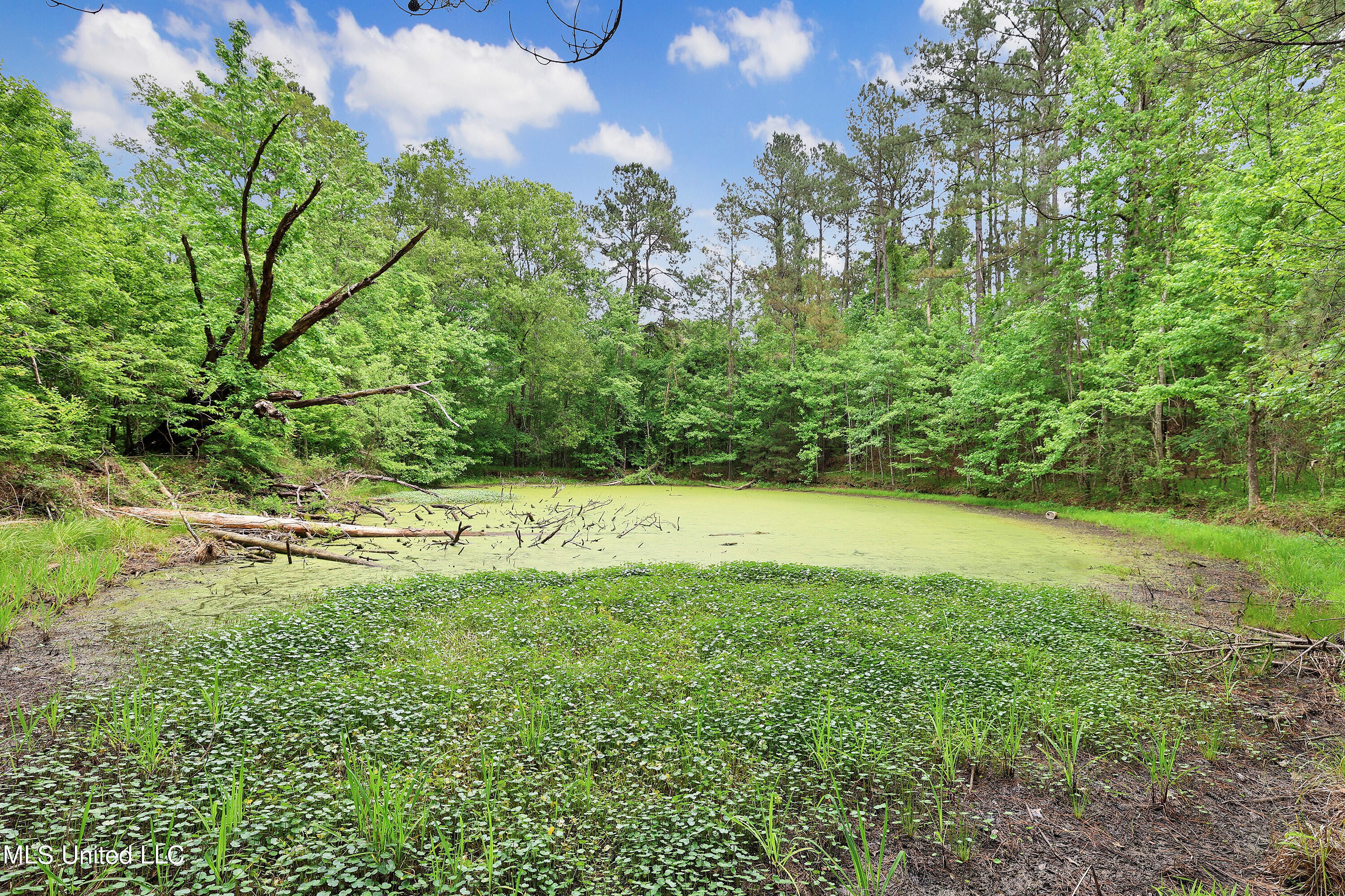 5630 Duke Road Utica, MS 39175 - Photo 6 of 40 5630 Duke Rd - BB - 5