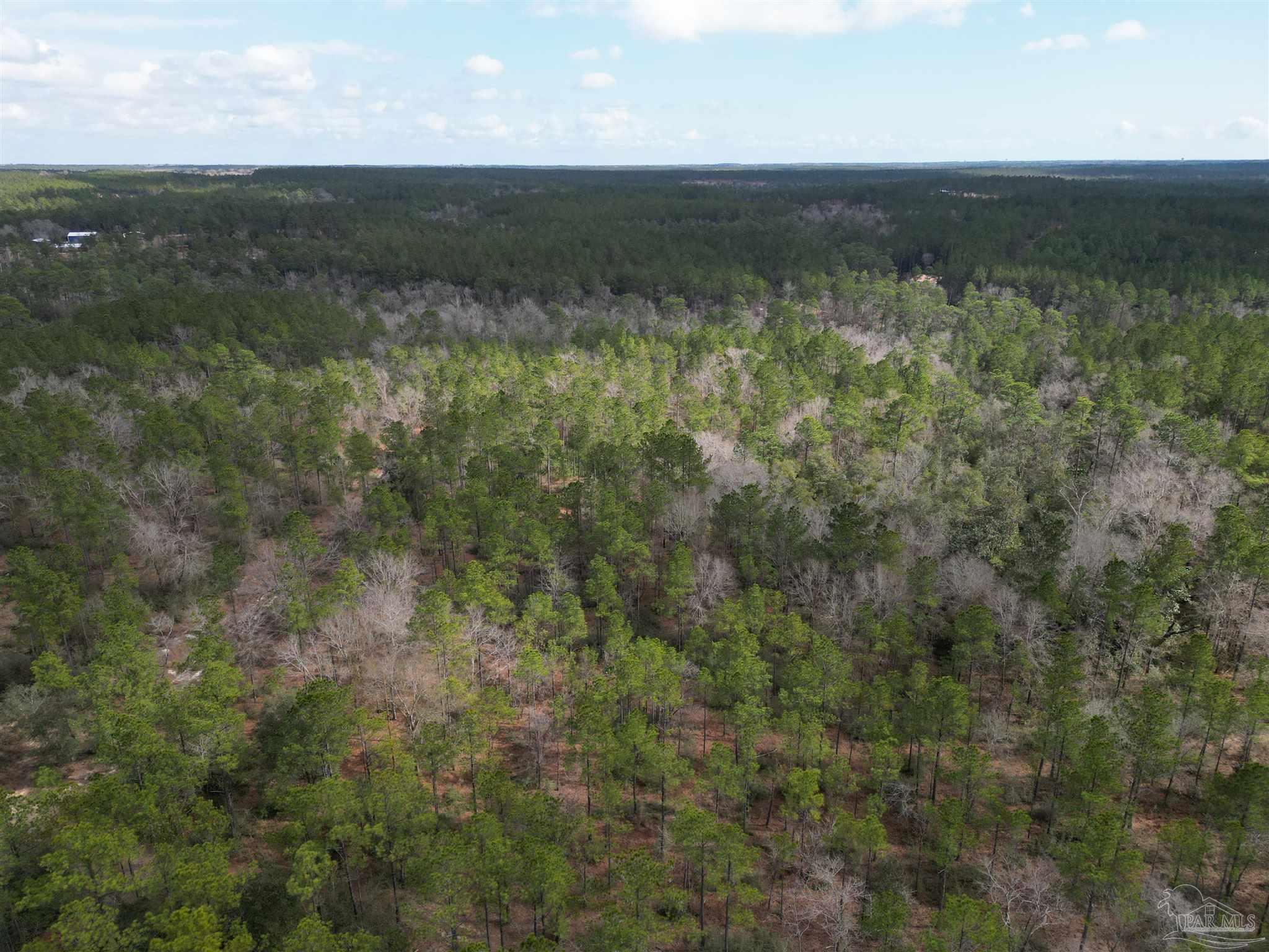 Lot 72 Cascade Drive Pace, FL 32571 - Photo 11 of 16