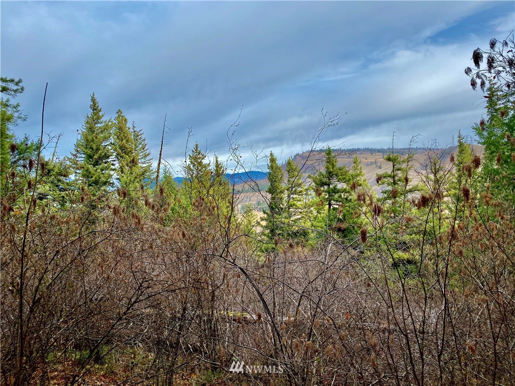 4 B Thorp Prairie Road Cle Elum, WA 98922 - Photo 4 of 7 Gallery Image 4