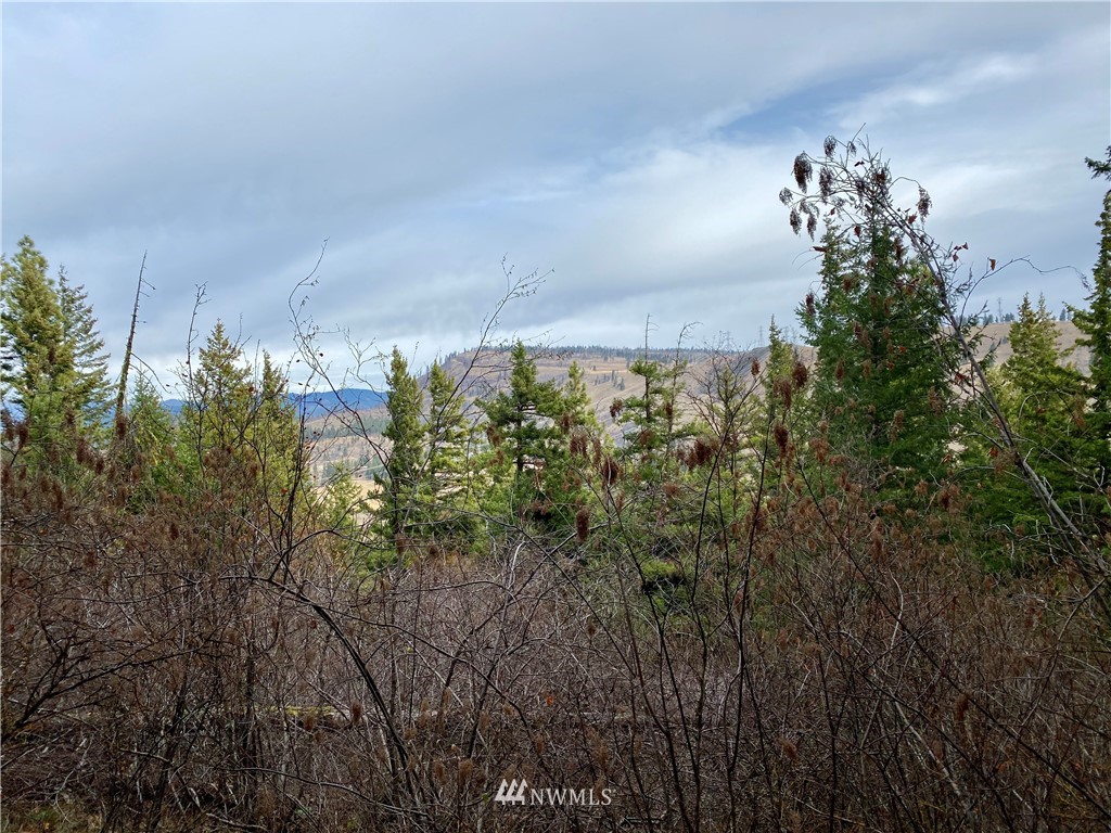 4 B Thorp Prairie Road Cle Elum, WA 98922 - Photo 5 of 7 Gallery Image 5