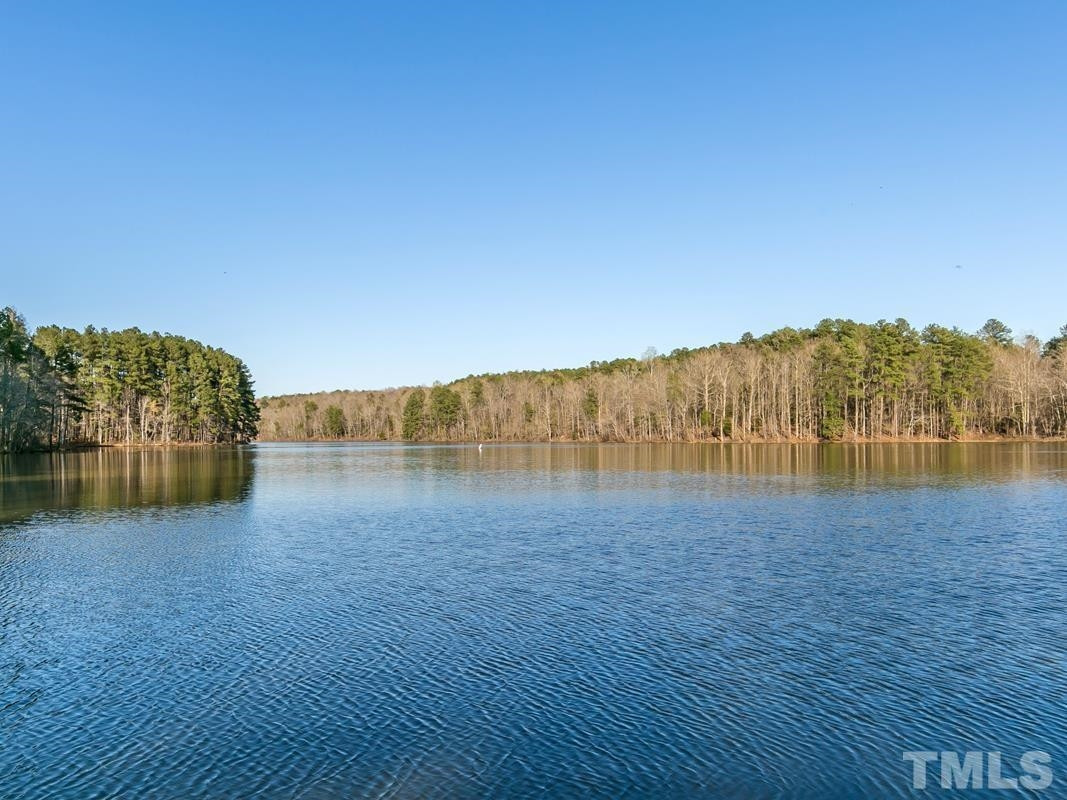 1002 Royal Mill Avenue Wake Forest, NC 27587 - Photo 51 of 51 a view of lake
