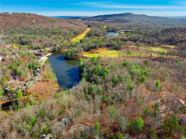 a view of a city with mountains in the background