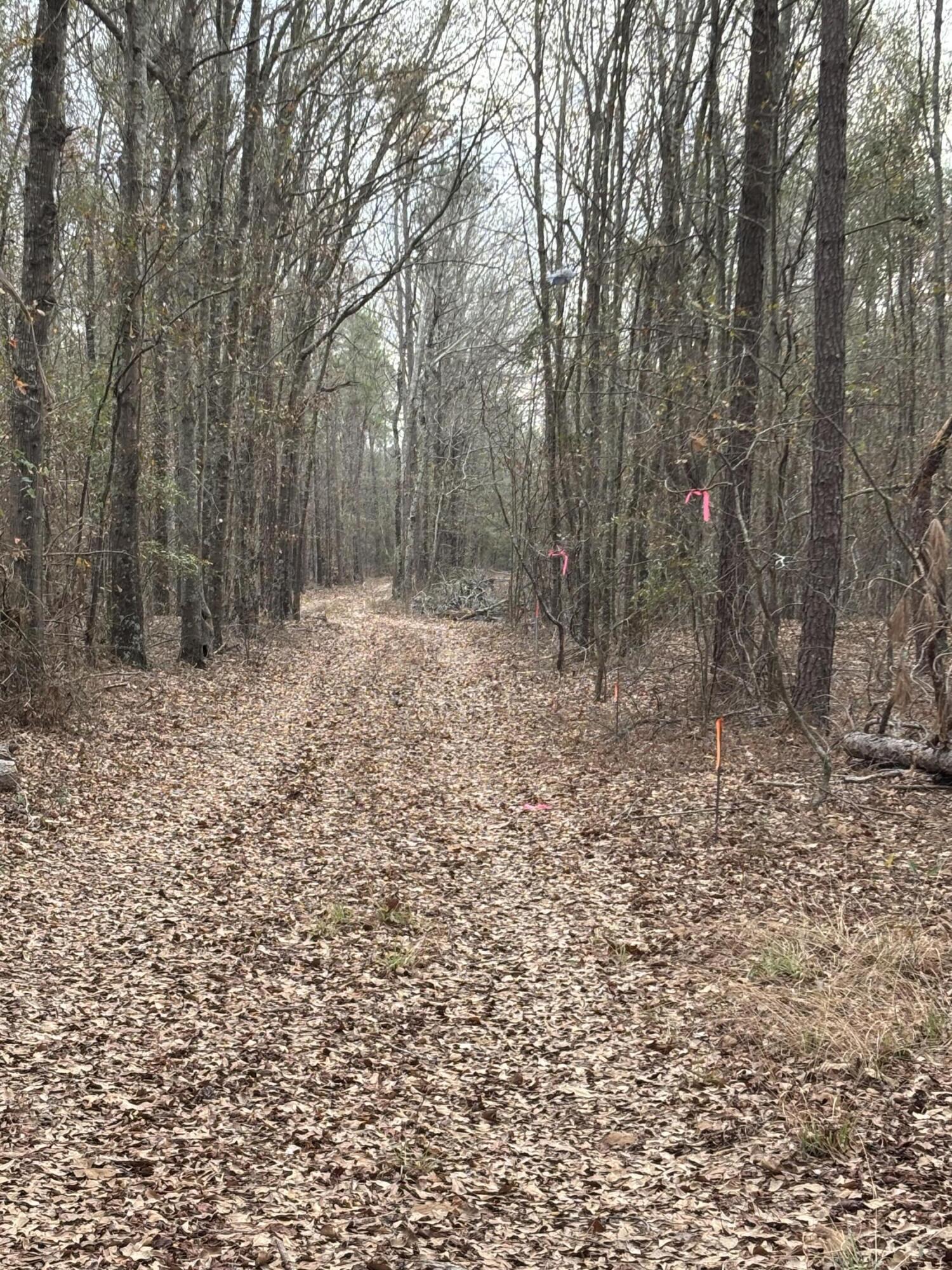 745 Wright Allen Road Hephzibah, GA 30815 - Photo 2 of 5 IMG_4149