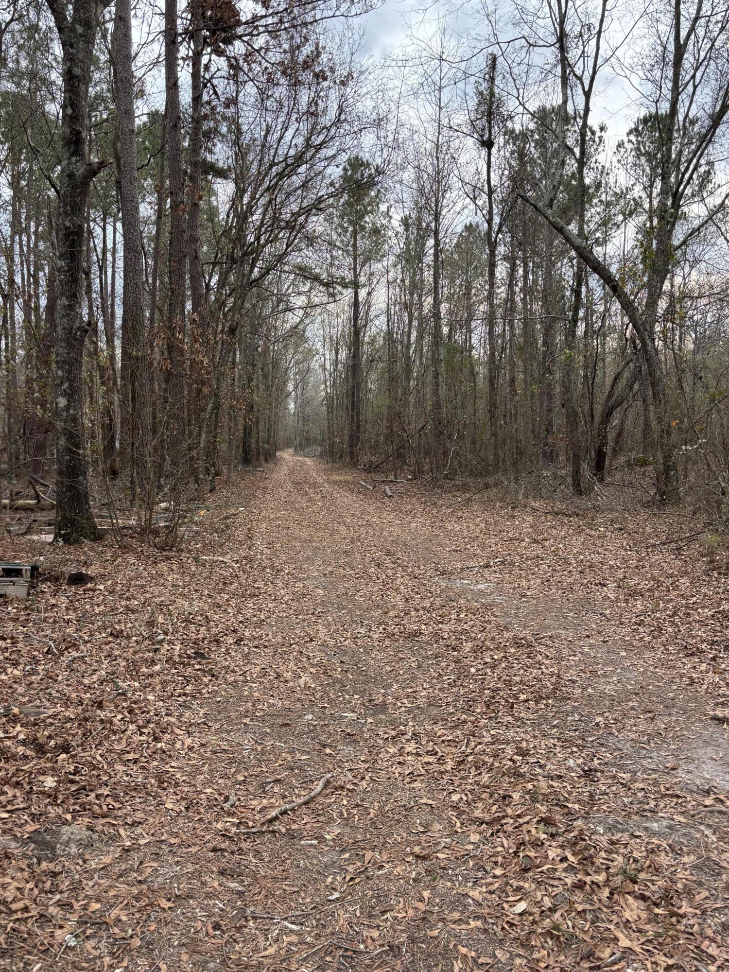 745 Wright Allen Road Hephzibah, GA 30815 - Photo 3 of 5 IMG_4148