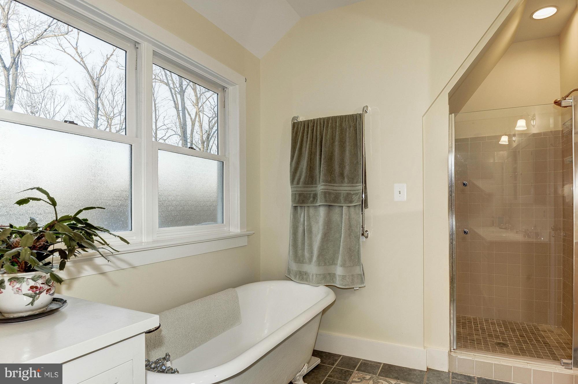 19820 Telegraph Springs Road Purcellville, VA 20132 - Photo 20 of 30 Claw foot tub and separate shower