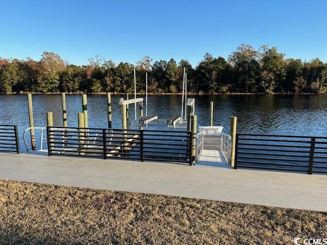 469 Harbour View Drive Myrtle Beach, SC 29579 - Photo 16 of 17