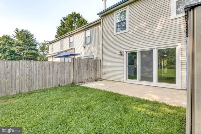 a view of a backyard with plants and large trees