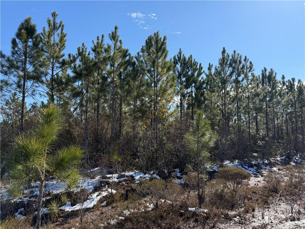 12 Elmer Thrift Road, Unit 12 Waycross, GA 31503 - Photo 1 of 1 Gallery Image 1