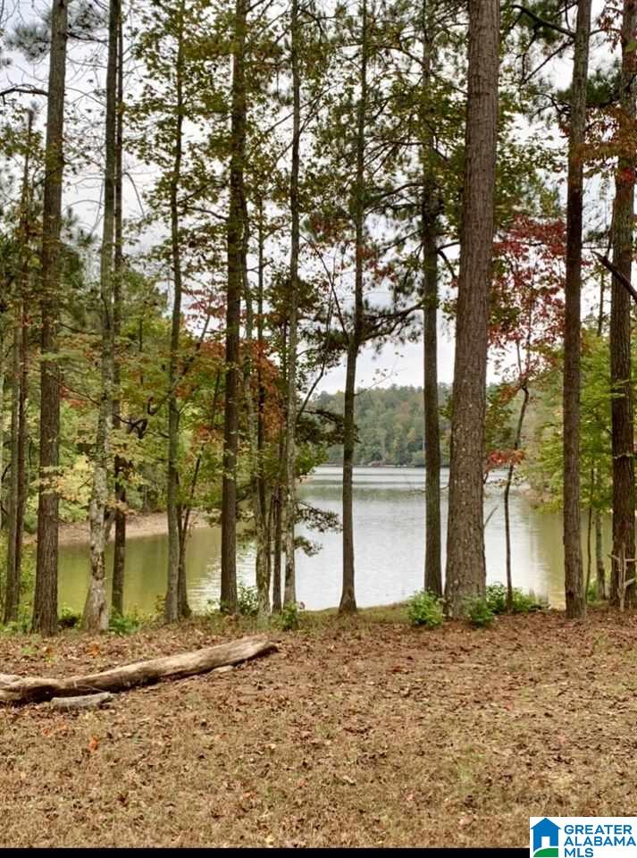 70 Boat Ramp Road Wedowee, AL 36278 - Photo 11 of 12